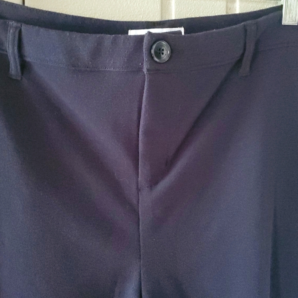 Liz Claiborne Navy Blue Shorts - Picture 3 of 13